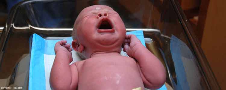 dream dictionary birth